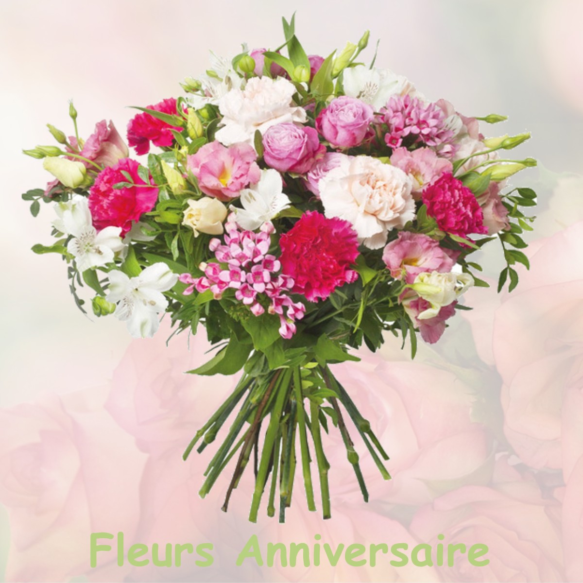 fleurs anniversaire LE-CHATELET